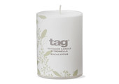 Citro 3X4 Pillar Candle Eucalyptus