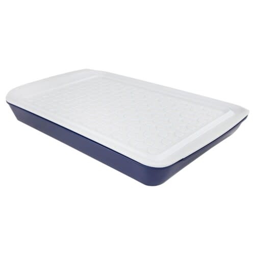 Marinade Tray With Lid 17" - Blue