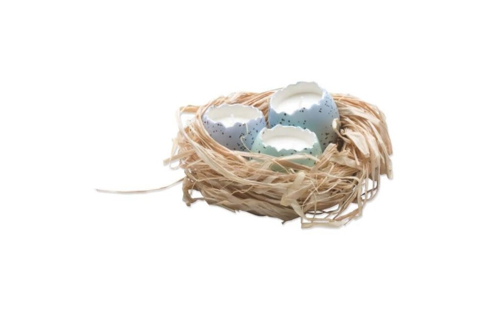 Cracked Egg Candles in Nest S/3