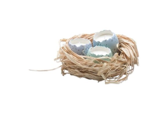 Cracked Egg Candles in Nest S/3