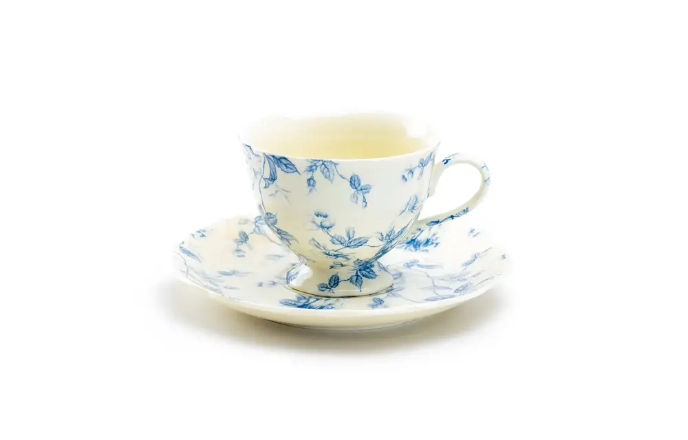 Blue Rose Toile 6oz Fine Porcelain Tea Cup and Saucer
