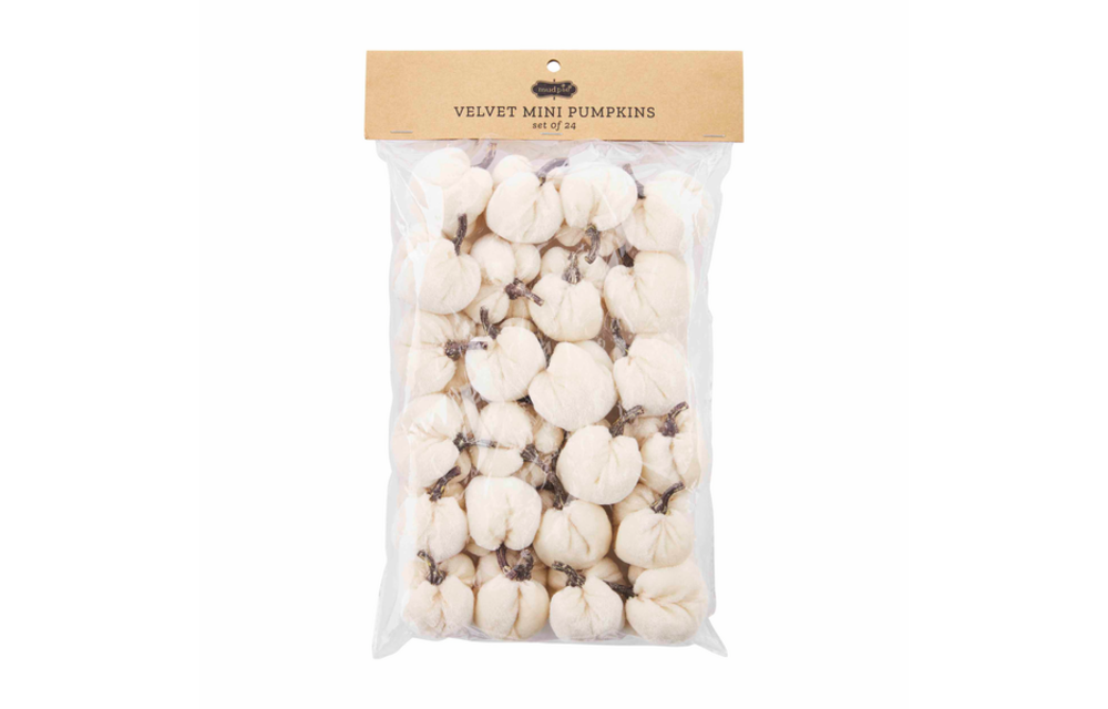 Cream Mini Pumpkin Set