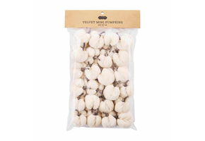 Cream Mini Pumpkin Set