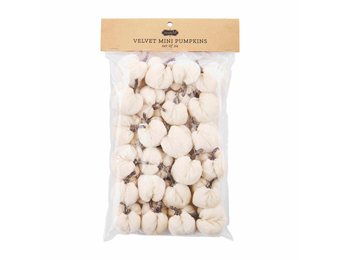 Cream Mini Pumpkin Set