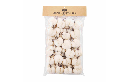 Cream Mini Pumpkin Set