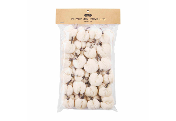Cream Mini Pumpkin Set
