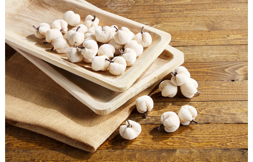 Cream Mini Pumpkin Set