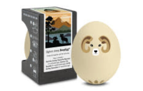 Beep Egg Timer Call of the Wild ASTD