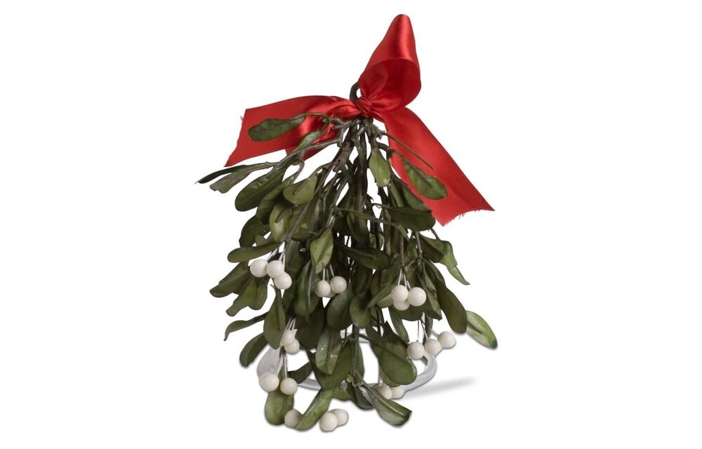 Hanging Mistletoe