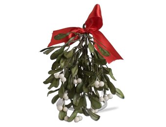 Hanging Mistletoe