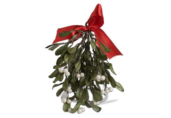 Hanging Mistletoe
