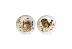 Turkey Appetizer Plate Asmt