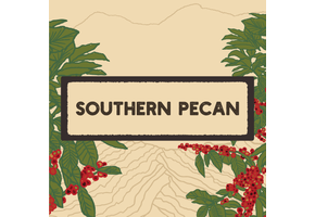 Pre-Pack 3oz Southern Pecan