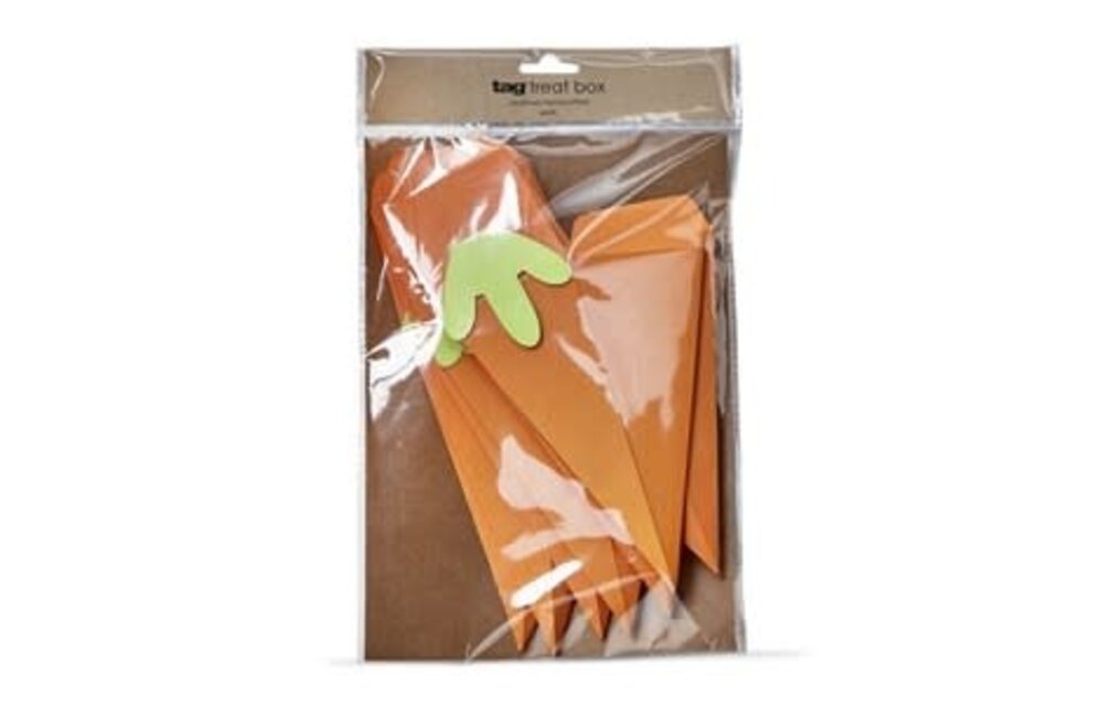 Carrot Paper Treat Box Set/8