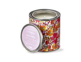 Citro + Peach SorbetTin