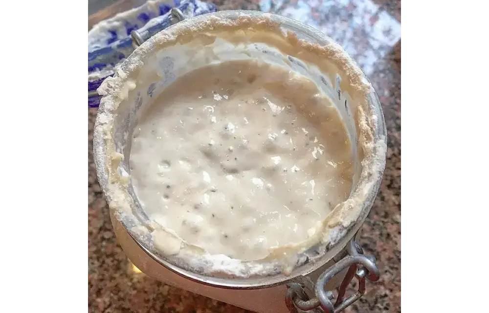 Breadtopia Sourdough Starter
