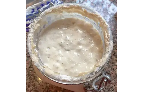 Breadtopia Sourdough Starter