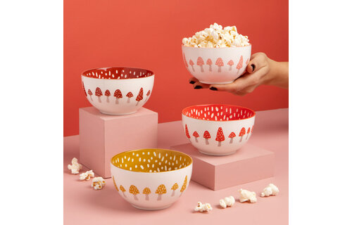 Toadstool Everyday Bowls Set of 4