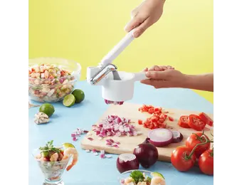 Fresh Force Onion Chopper