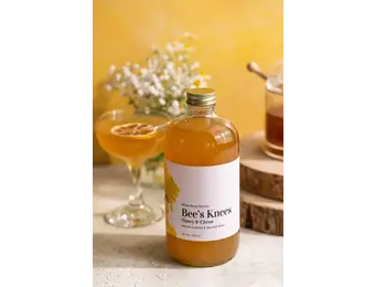 Bee's Knees Cocktail + Mocktail Mixer 16oz