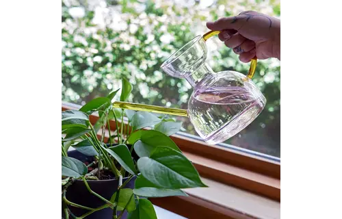 Glass Watering Can Pink