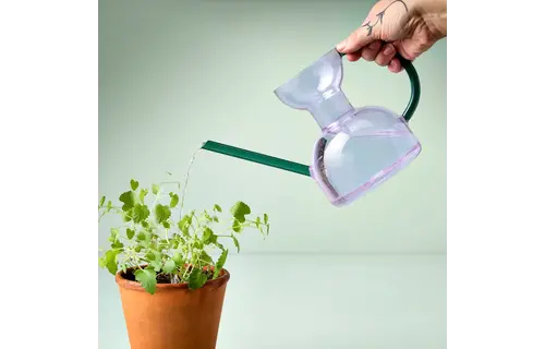 Glass Watering Can Purple