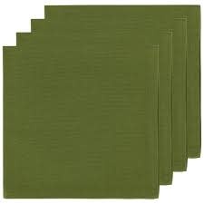 Napkin Spectrum Fir