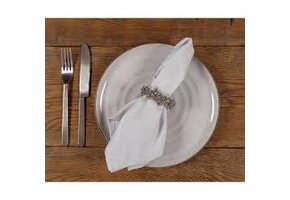 Feast Easy Care Dinner Napkin S/12 Gray