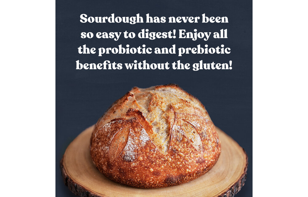 Gluten-Free Sourdough Starter