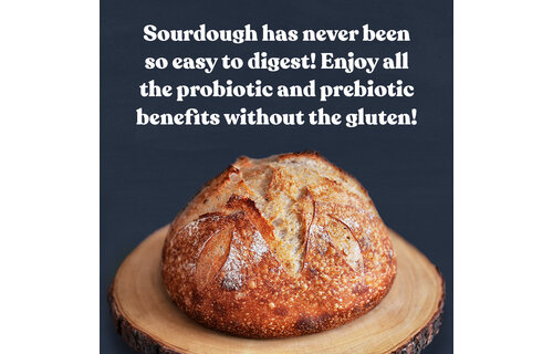 Gluten-Free Sourdough Starter