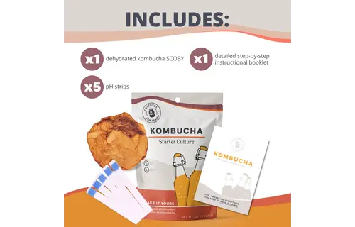 Kombucha Starter Culture