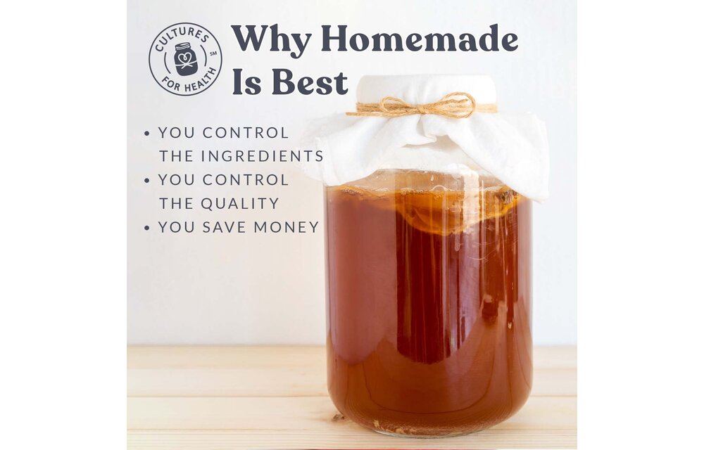 Kombucha Starter Culture