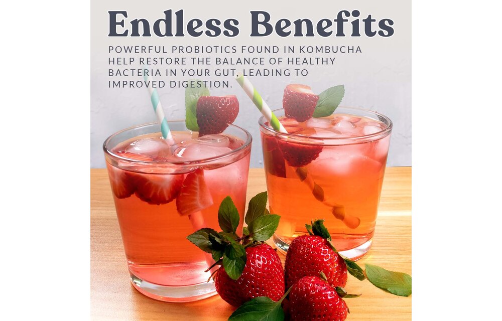 Kombucha Starter Culture