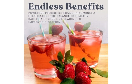 Kombucha Starter Culture