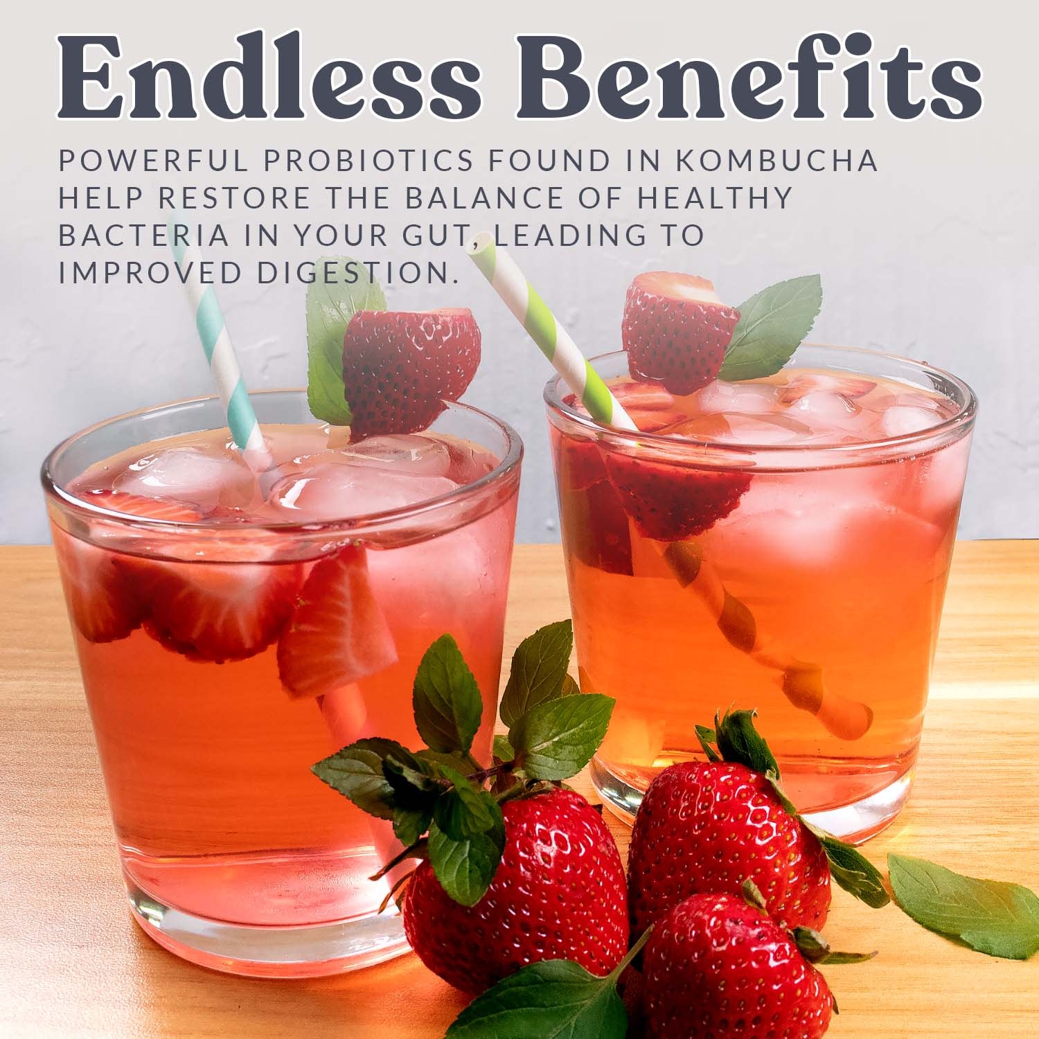 Kombucha Starter Culture