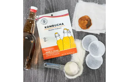 Kombucha Starter Culture