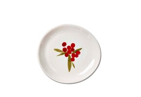Sprig Appetizer Plate