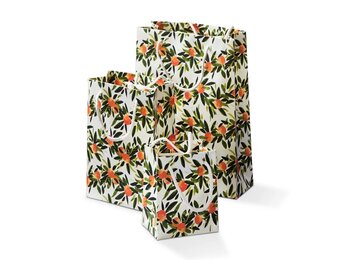 Citrus Grove Gift Bag S/3