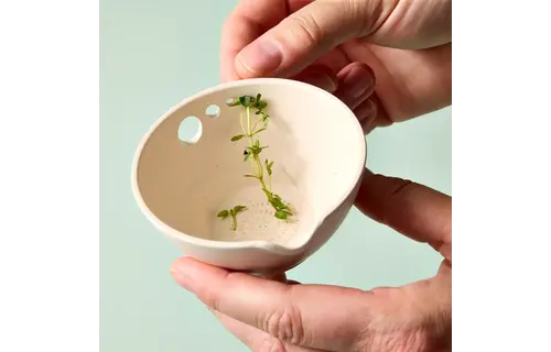 Peel, Grate + Prep Dish