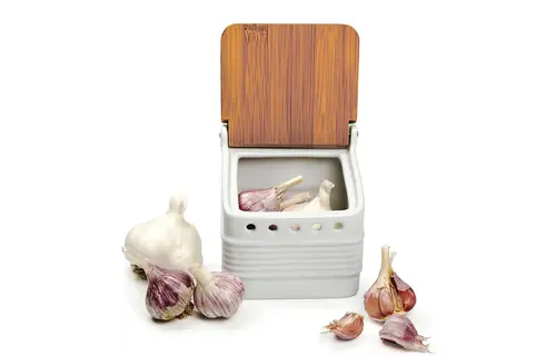 Stoneware Garlic Keeper