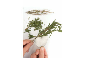 Herb Stripper