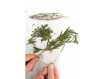 Herb Stripper