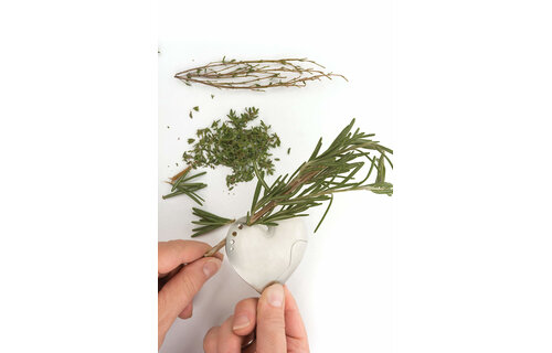 Herb Stripper