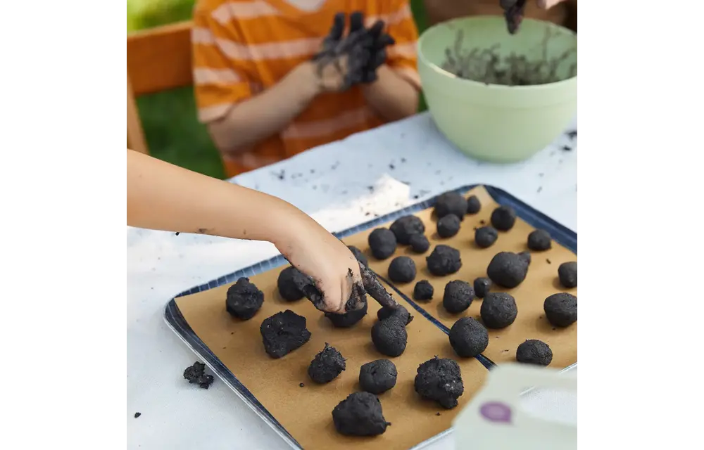 Rainbow Garden DIY Seed Ball Kit