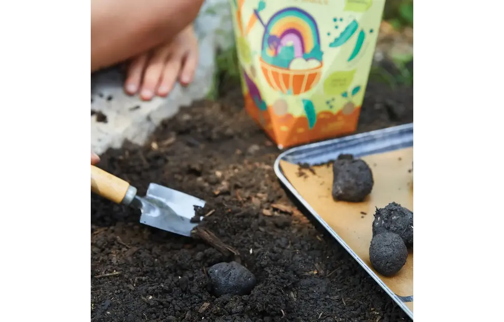 Rainbow Garden DIY Seed Ball Kit