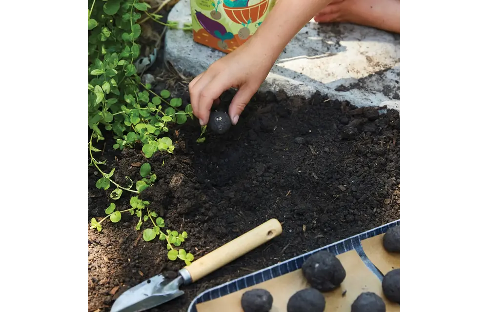 Rainbow Garden DIY Seed Ball Kit