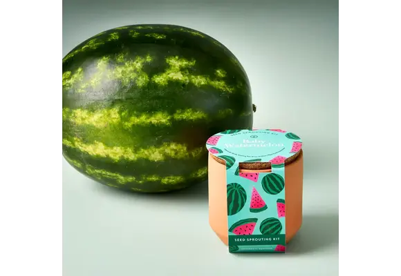 Baby Watermelon Tiny Terracotta Garden Kit