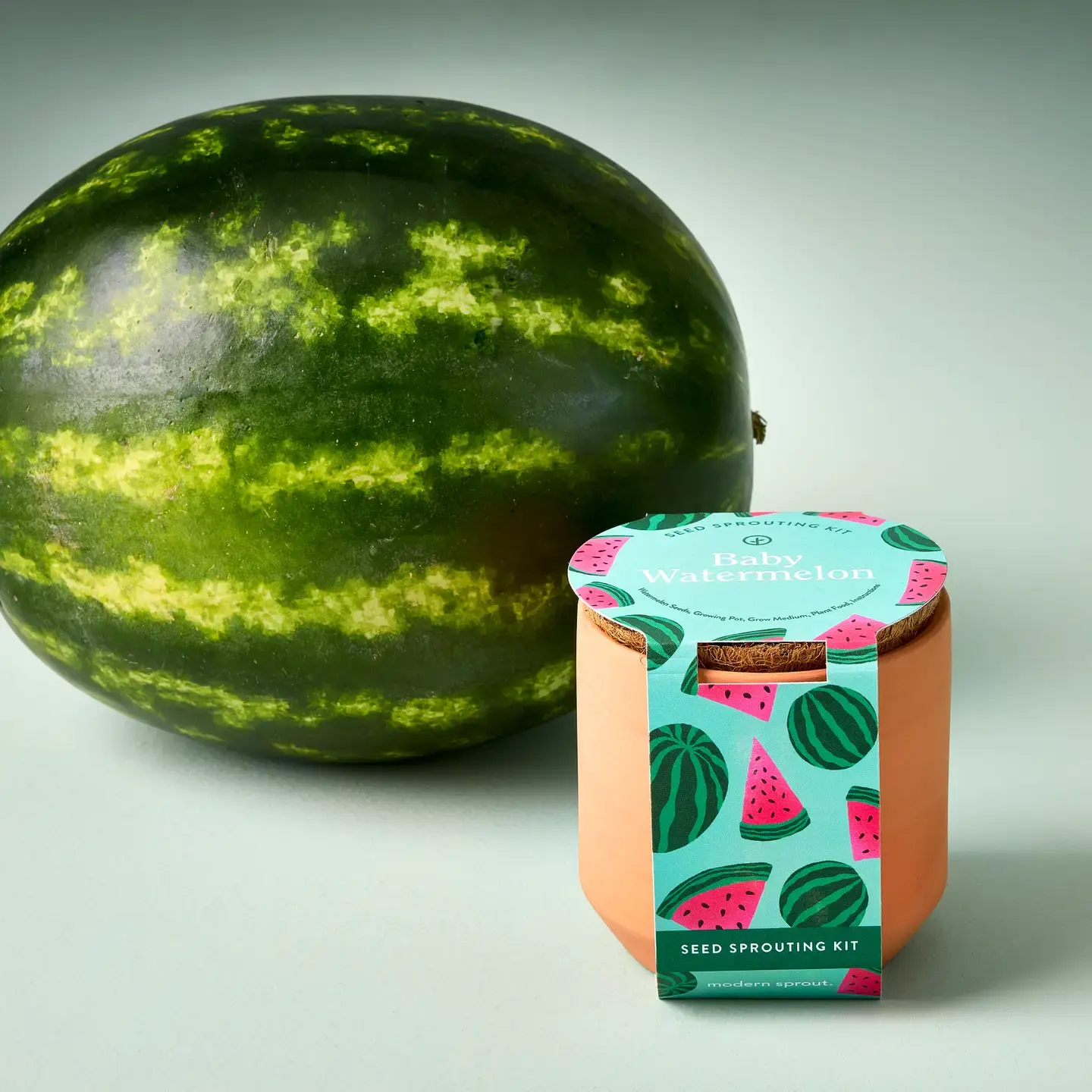 Baby Watermelon Tiny Terracotta Garden Kit