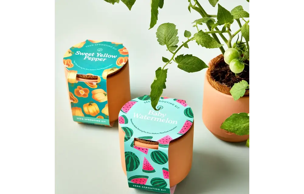 Baby Watermelon Tiny Terracotta Garden Kit