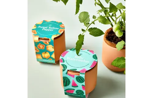 Baby Watermelon Tiny Terracotta Garden Kit